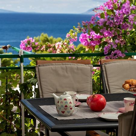 Apartmani Antonela Драшнице Екстериор снимка